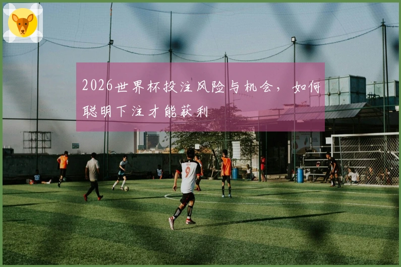 2026世界杯投注风险与机会，如何聪明下注才能获利