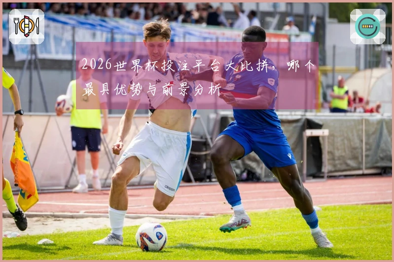 2026世界杯投注平台大比拼，哪个最具优势与前景分析