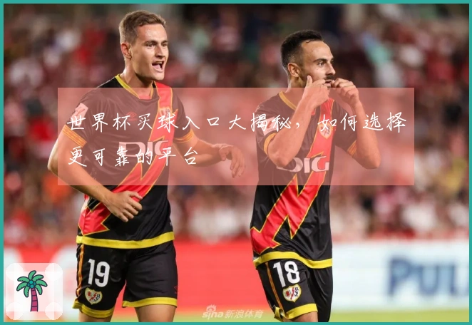 世界杯买球入口大揭秘，如何选择更可靠的平台