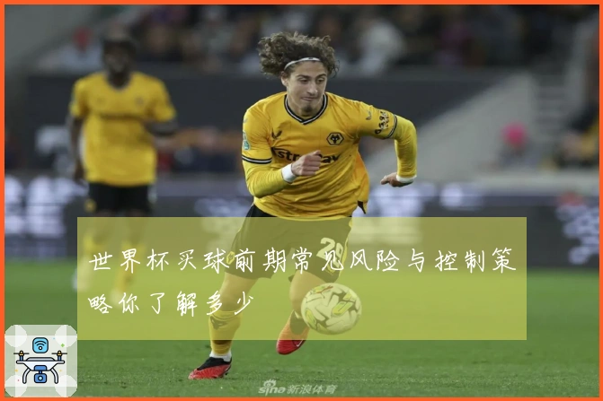 世界杯买球前期常见风险与控制策略你了解多少