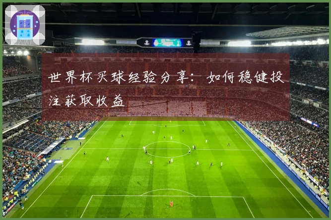 世界杯买球经验分享:如何稳健投注获取收益