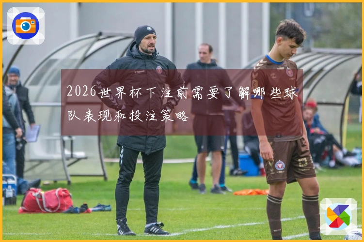 2026世界杯下注前需要了解哪些球队表现和投注策略