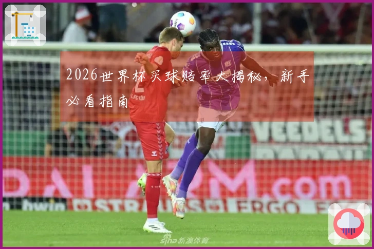 2026世界杯买球赔率大揭秘，新手必看指南