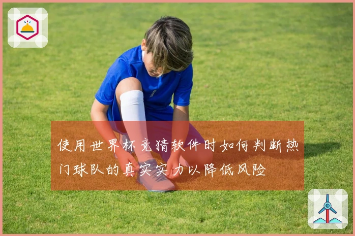 使用世界杯竞猜软件时如何判断热门球队的真实实力以降低风险