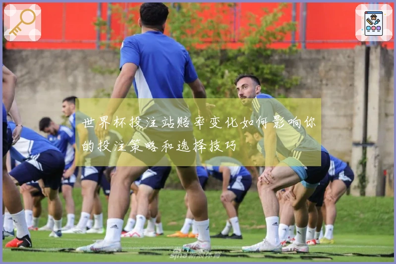 世界杯投注站赔率变化如何影响你的投注策略和选择技巧