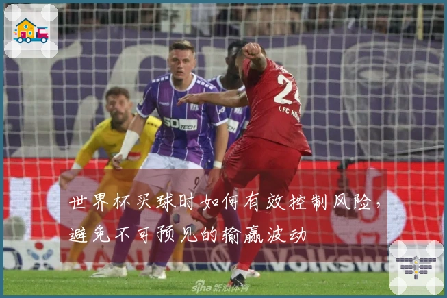世界杯买球时如何有效控制风险，避免不可预见的输赢波动