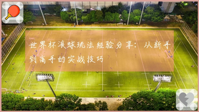 世界杯滚球玩法经验分享:从新手到高手的实战技巧