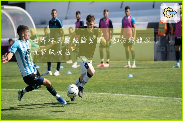 世界杯买球经验分享：如何稳健投注获取收益