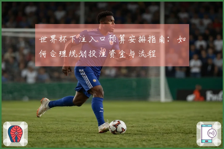 世界杯下注入口预算安排指南：如何合理规划投注资金与流程
