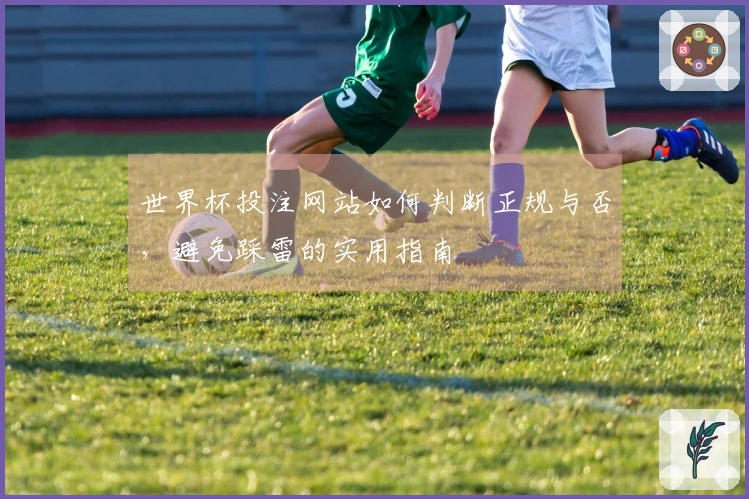 世界杯投注网站如何判断正规与否，避免踩雷的实用指南