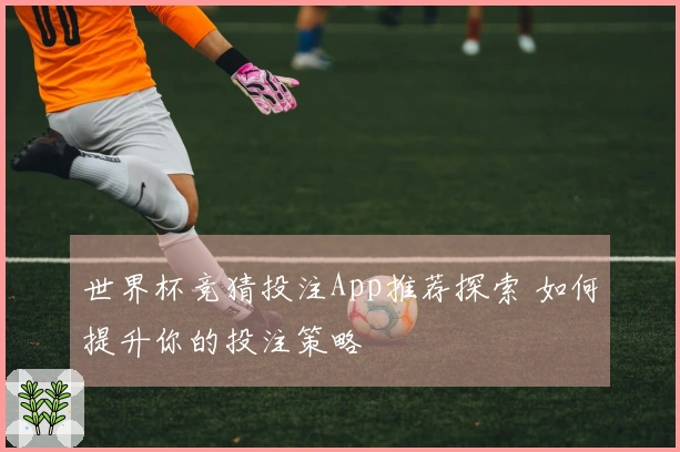 世界杯竞猜投注App推荐探索 如何提升你的投注策略