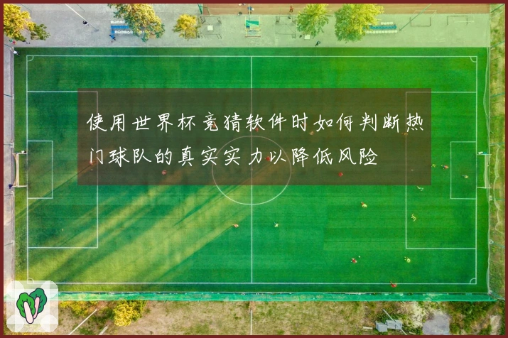 使用世界杯竞猜软件时如何判断热门球队的真实实力以降低风险