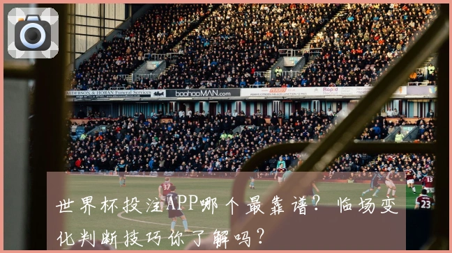 世界杯投注APP哪个最靠谱？临场变化判断技巧你了解吗？