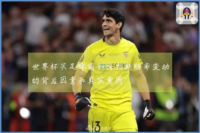 世界杯买足球前如何判断赔率变动的背后因素和真实意图