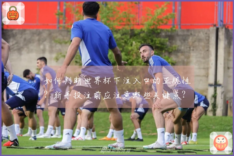 如何判断世界杯下注入口的正规性？新手投注前应注意哪些关键点？