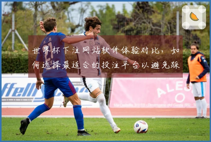世界杯下注网站软件体验对比，如何选择最适合的投注平台以避免踩坑？