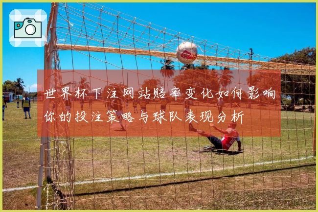 世界杯下注网站赔率变化如何影响你的投注策略与球队表现分析