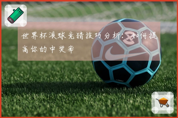 世界杯滚球竞猜技巧分析：如何提高你的中奖率