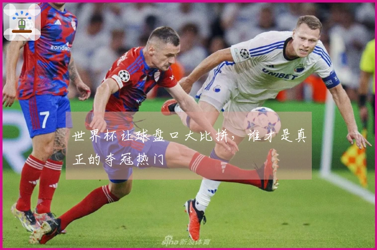 世界杯让球盘口大比拼，谁才是真正的夺冠热门
