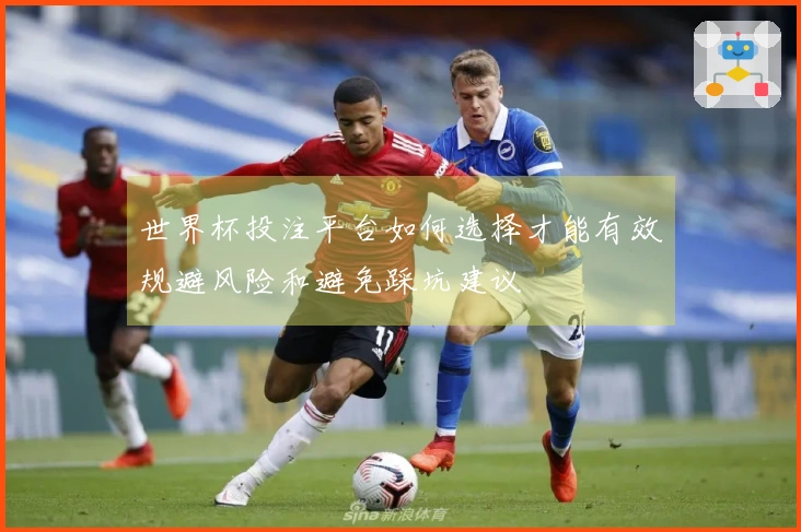 世界杯投注平台如何选择才能有效规避风险和避免踩坑建议