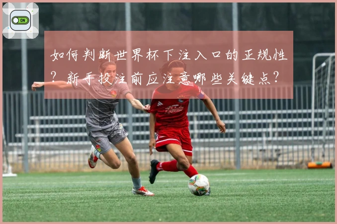 如何判断世界杯下注入口的正规性？新手投注前应注意哪些关键点？