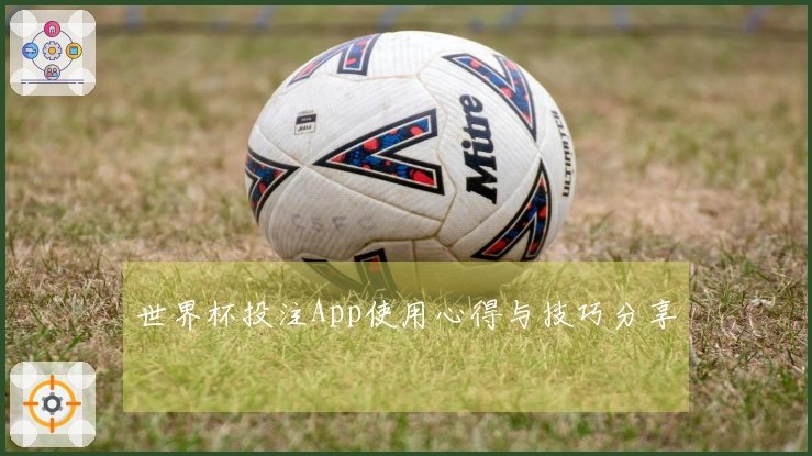 世界杯投注App使用心得与技巧分享
