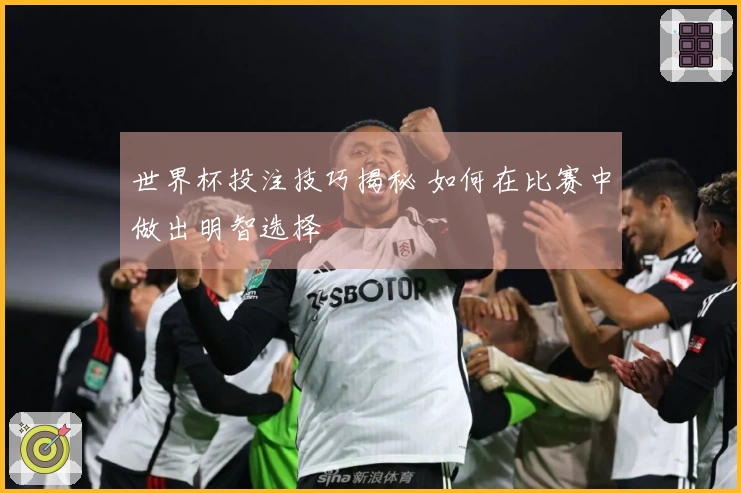 世界杯投注技巧揭秘 如何在比赛中做出明智选择