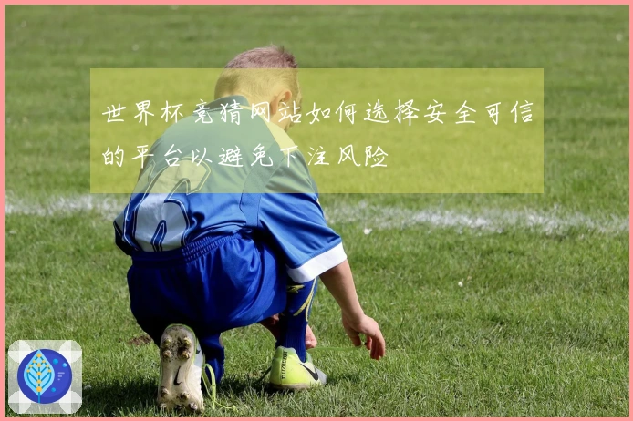 世界杯竞猜网站如何选择安全可信的平台以避免下注风险