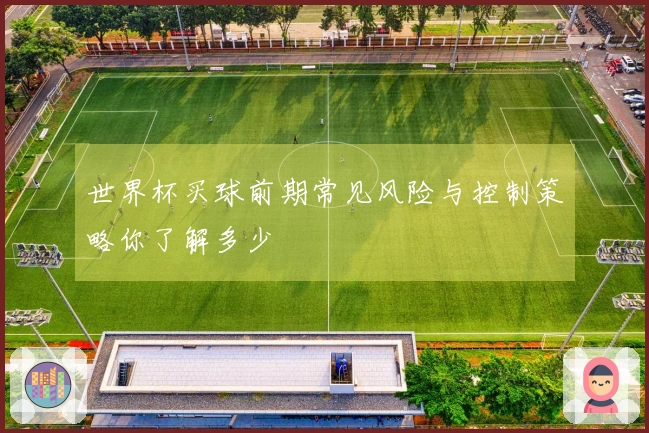 世界杯买球前期常见风险与控制策略你了解多少