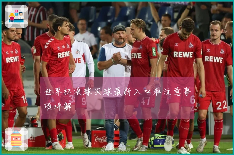 世界杯滚球买球最新入口和注意事项详解