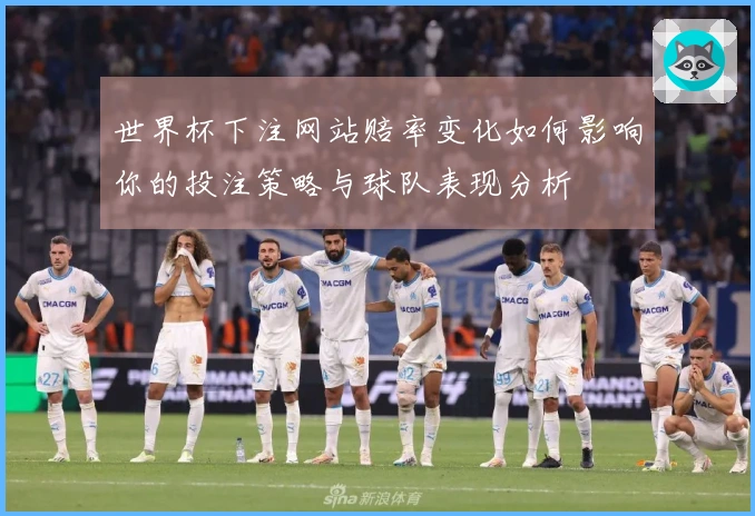 世界杯下注网站赔率变化如何影响你的投注策略与球队表现分析