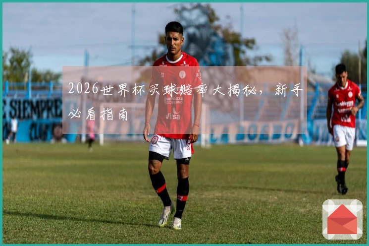 2026世界杯买球赔率大揭秘，新手必看指南