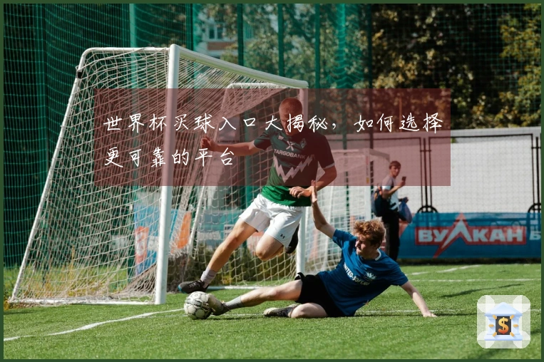 世界杯买球入口大揭秘，如何选择更可靠的平台