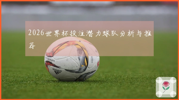 2026世界杯投注潜力球队分析与推荐