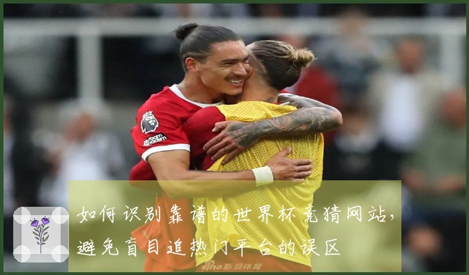 如何识别靠谱的世界杯竞猜网站，避免盲目追热门平台的误区